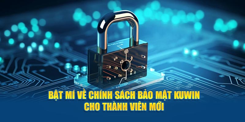 Trách nhiệm của hội viên Kuwin trong việc tuân thủ chính sách