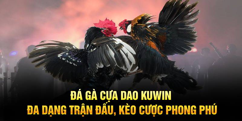 đá gà cựa dao