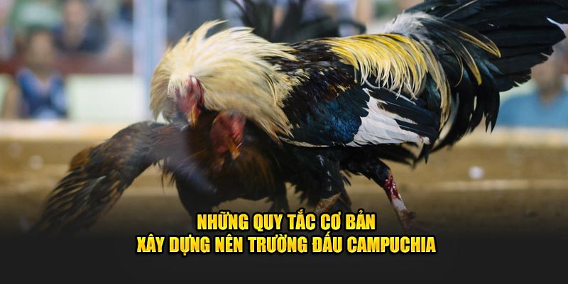 Những quy tắc bất di bất dịch tại trường đấu Campuchia